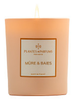 Bougie parfumée Mûre & Baies 180g | PLANTES & PARFUMS